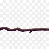 冬日萧瑟设计树枝-空若网 冬日萧瑟设计树枝-空若网