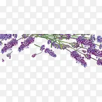 ×ÏÉ«ÇåÐÂÞ¹Ò²Ý×°ÊÎͼ°¸-¿ÕÈôÍø ×ÏÉ«ÇåÐÂÞ¹Ò²Ý×°ÊÎͼ°¸-¿ÕÈôÍø