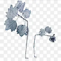 �ɻ���֦-������