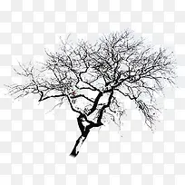 冬季雪景树枝装饰-空若网 冬季雪景树枝装饰-空若网