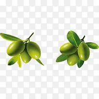 枣-空若网 枣-空若网