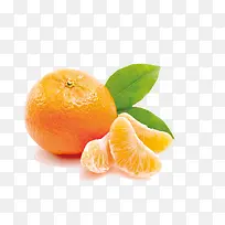 橘子-空若网 橘子-空若网