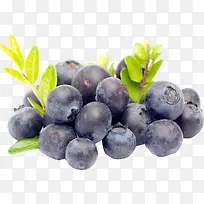 ��ݮ-������