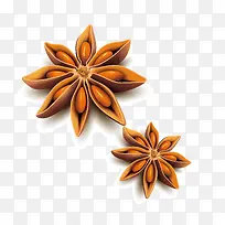 香料八角矢量素材-空若网 香料八角矢量素材-空若网