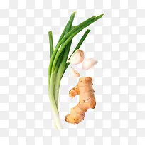 �л����-������