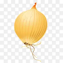 洋葱-空若网 洋葱-空若网