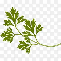 �ֻ��߲�ͼƬ���-������