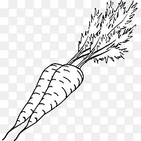 矢量手绘蔬菜-空若网 矢量手绘蔬菜-空若网