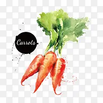 ˮ�ʺ��ܲ�-������