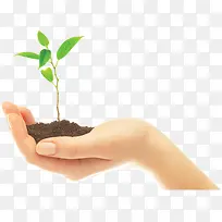 ����ֲ��-������