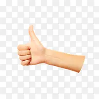 ���� ����-������