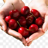 手捧樱桃-空若网 手捧樱桃-空若网