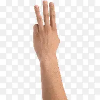 ��ָ-������