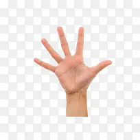 手势-空若网 手势-空若网