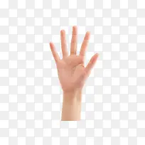 手势-空若网 手势-空若网