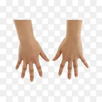 手势-空若网 手势-空若网