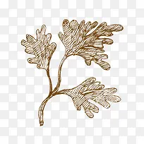 手绘香菜-空若网 手绘香菜-空若网