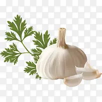 手绘-空若网 手绘-空若网