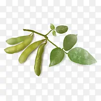 美味蔬菜豆角元素免扣-空若网 美味蔬菜豆角元素免扣-空若网