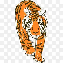 手绘卡通老虎-空若网 手绘卡通老虎-空若网