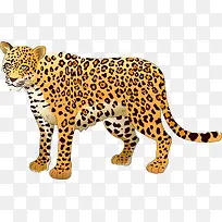 手绘老虎-空若网 手绘老虎-空若网