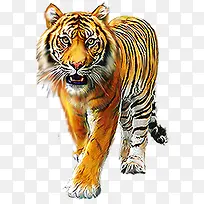 �ֻ��ɫˮ���ϻ�-������