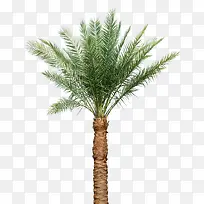 �����-������