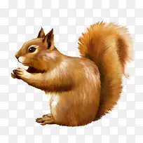 可爱卡通松鼠造型-空若网 可爱卡通松鼠造型-空若网