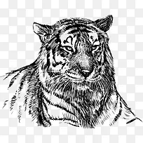 卡通动物-空若网 卡通动物-空若网