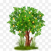 �ֻ�������-������