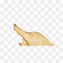 手绘手指-空若网 手绘手指-空若网