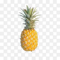 金灿灿菠萝-空若网 金灿灿菠萝-空若网