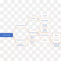 品牌组织-癌症-空若网 品牌组织-癌症-空若网