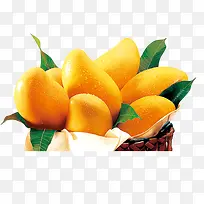 ˮ��-������