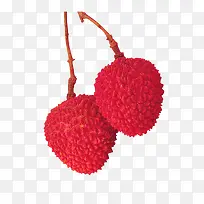 ÓлúË®¹ûÀóÖ¦-¿ÕÈôÍø ÓлúË®¹ûÀóÖ¦-¿ÕÈôÍø