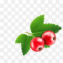 红色水果山楂-空若网 红色水果山楂-空若网