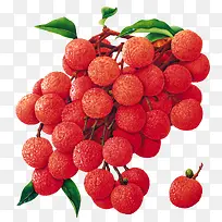 红色新鲜荔枝水果-空若网 红色新鲜荔枝水果-空若网