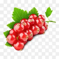 红色高清水果绿叶-空若网 红色高清水果绿叶-空若网