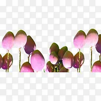 ��ɫâ��ˮ��װ��-������