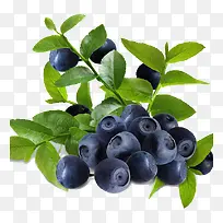 ��ݮ-������