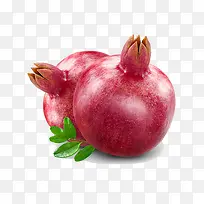 石榴-空若网 石榴-空若网