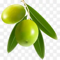 ��ɫˮ��-������