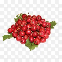 绿色食品山楂-空若网 绿色食品山楂-空若网