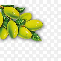 水果-空若网 水果-空若网