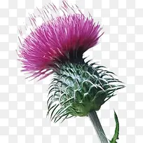 ������ɫˮ����޼��-������