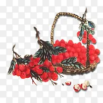 水果-空若网 水果-空若网