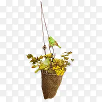 绿色毛雀水果篮-空若网 绿色毛雀水果篮-空若网