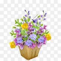 ������Ӱ�ÿ��Ļ���ֲ��-������