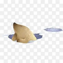 冬日海豚卡通可爱-空若网 冬日海豚卡通可爱-空若网