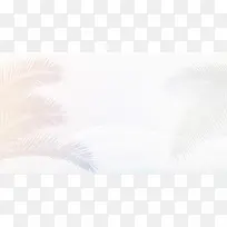 白色冬日薄雾树枝电商-空若网 白色冬日薄雾树枝电商-空若网